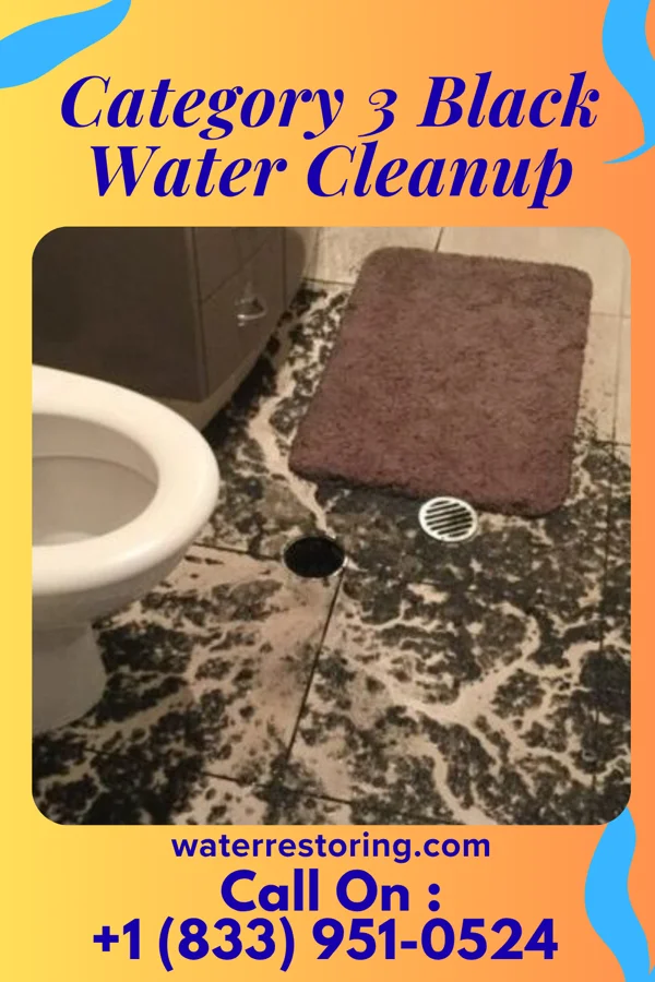 Category 3 Black Water Cleanup in Jonestown, PA
