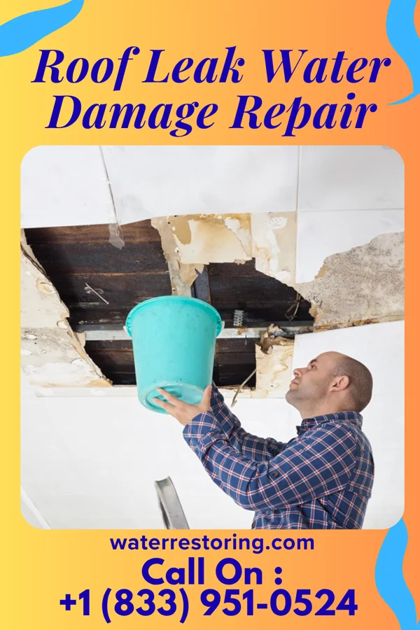 Roof Leak Water Damage Repair in Jonestown, PA