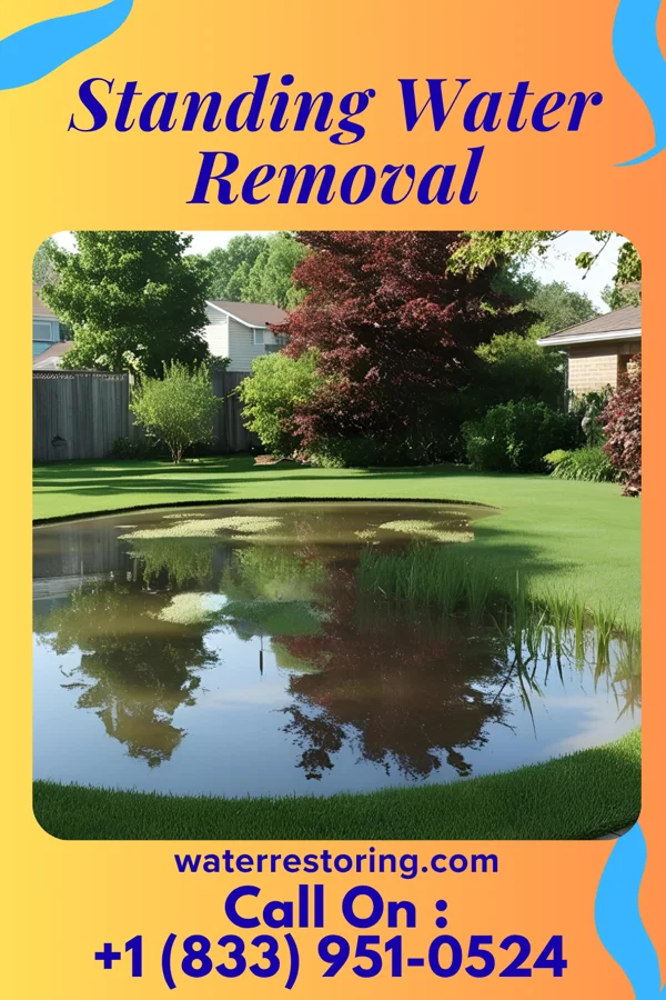 Standing Water Removal in Jonestown, PA